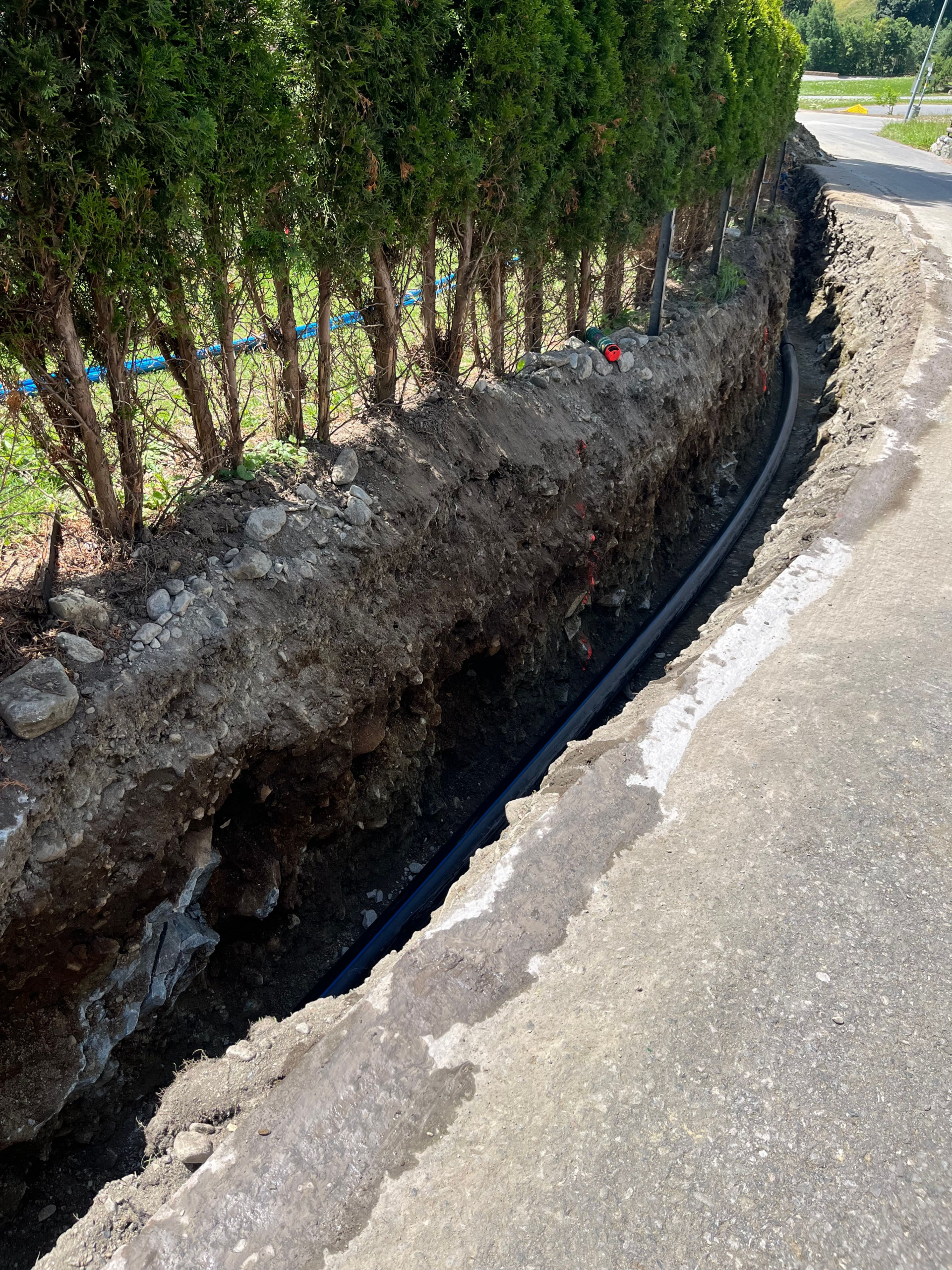 Verlegte Wasserleitung entlang einer Hecke